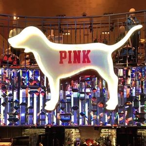 NFS ISO vs pink dog signs